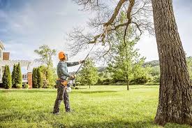 How Our Tree Care Process Works  in  Hidden Meadows, CA