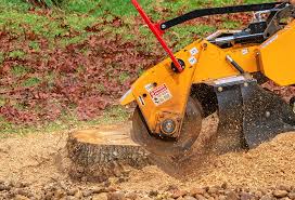 Professional Tree Care in Hidden Meadows, CA
